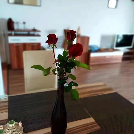 Apartmán Kaic Rogač